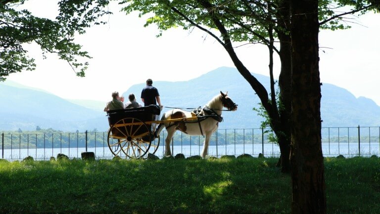 jaunting car ride