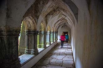 muckross-abbey-inside.jpg (muckross-abbey-insid) muckross abbey inside