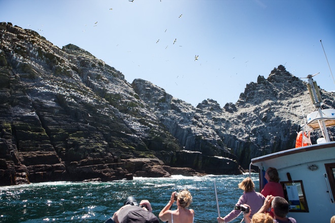 skellig-boat-trips.jpg (skellig-boat-trips) skellig boat trips